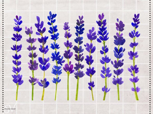 Download English Lavender Watercolor Flat Lay - Premium Bundle